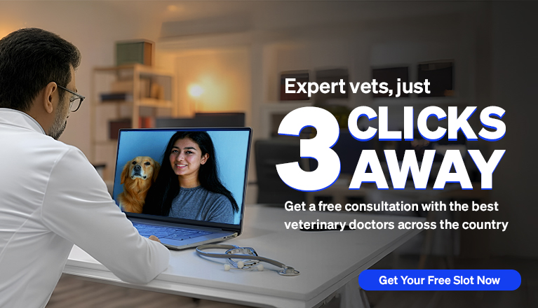 Banner---Mobile-Vet