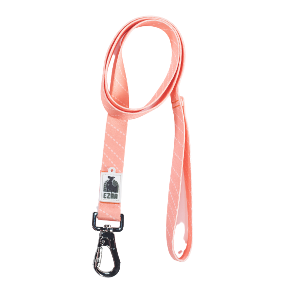 Ezra Digital Print Dog Leash - Assorted Ezra Digital Print Dog Leash - Assorted