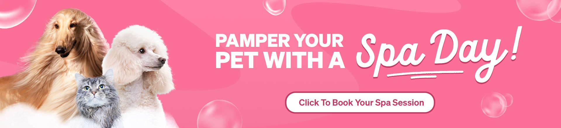 Spa-banner-Desktop