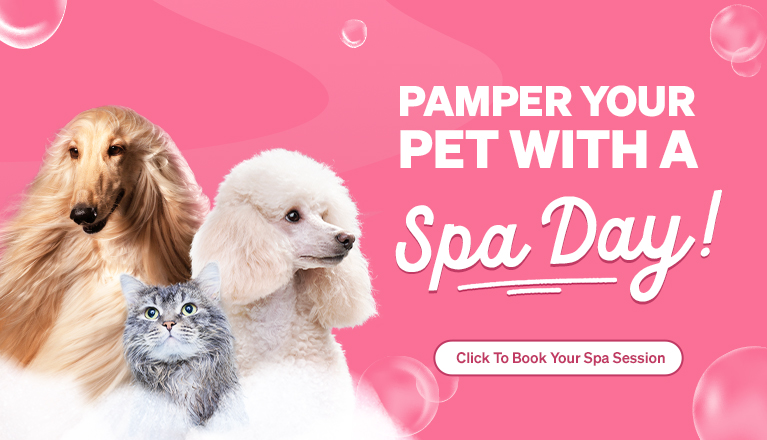 Spa-banner-Mobile
