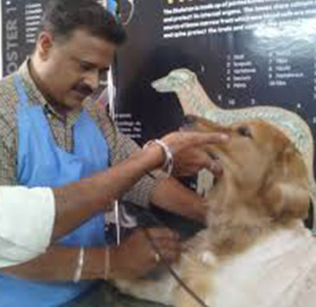 Dr. Abhijit Wankhede