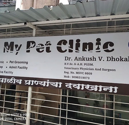 Dr. Ankush Vinayak Dhokale