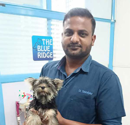 Dr. Naveen Kumar