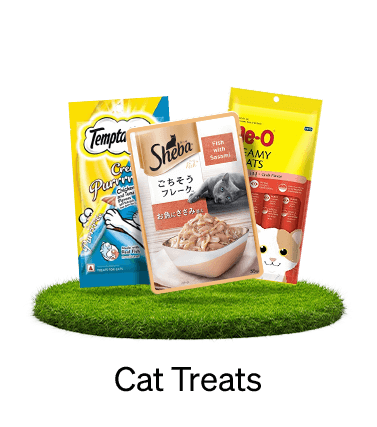 Cat Treats