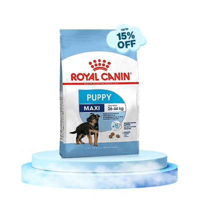 monsoon-royal-canin-2