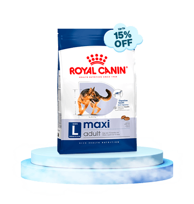 monsoon-royal-canin-3