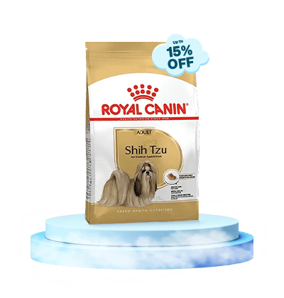 monsoon-royal-canin-5
