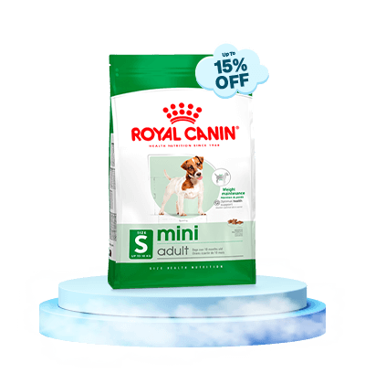 monsoon-royal-canin