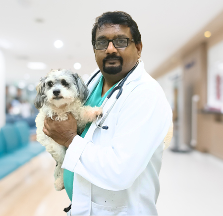 Dr. S. Ayyappan
