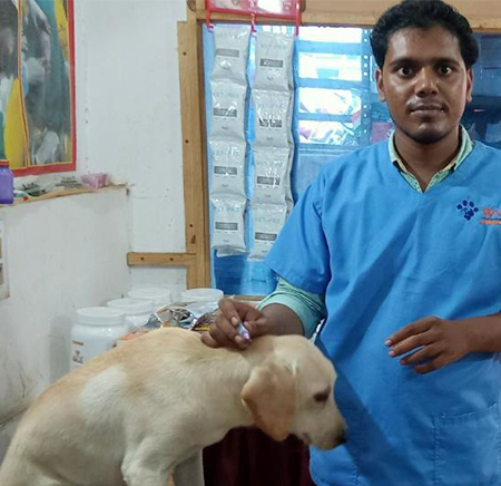Dr. Swatantra Singh Dhakre