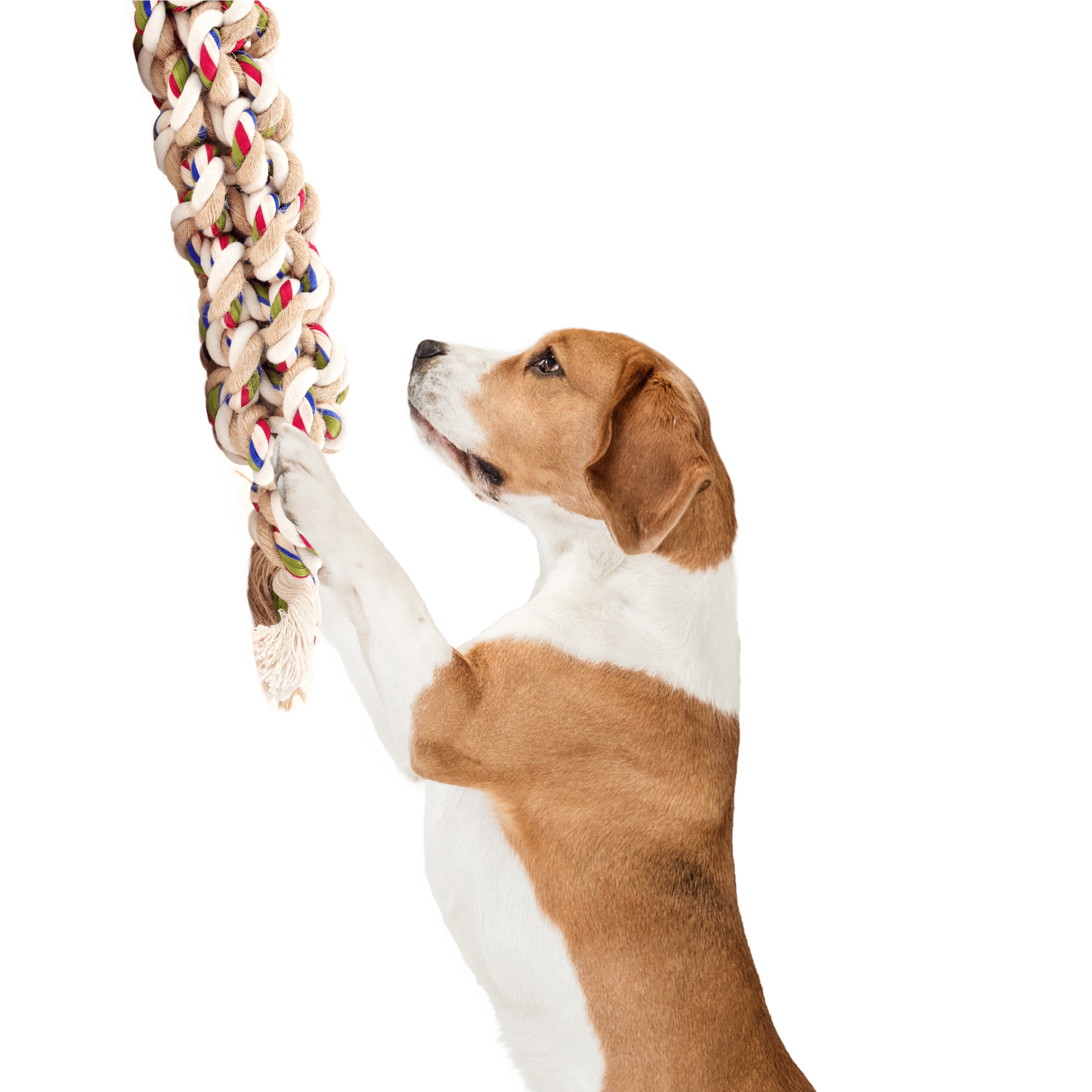 FOFOS Flossy Rope Toy for Dogs