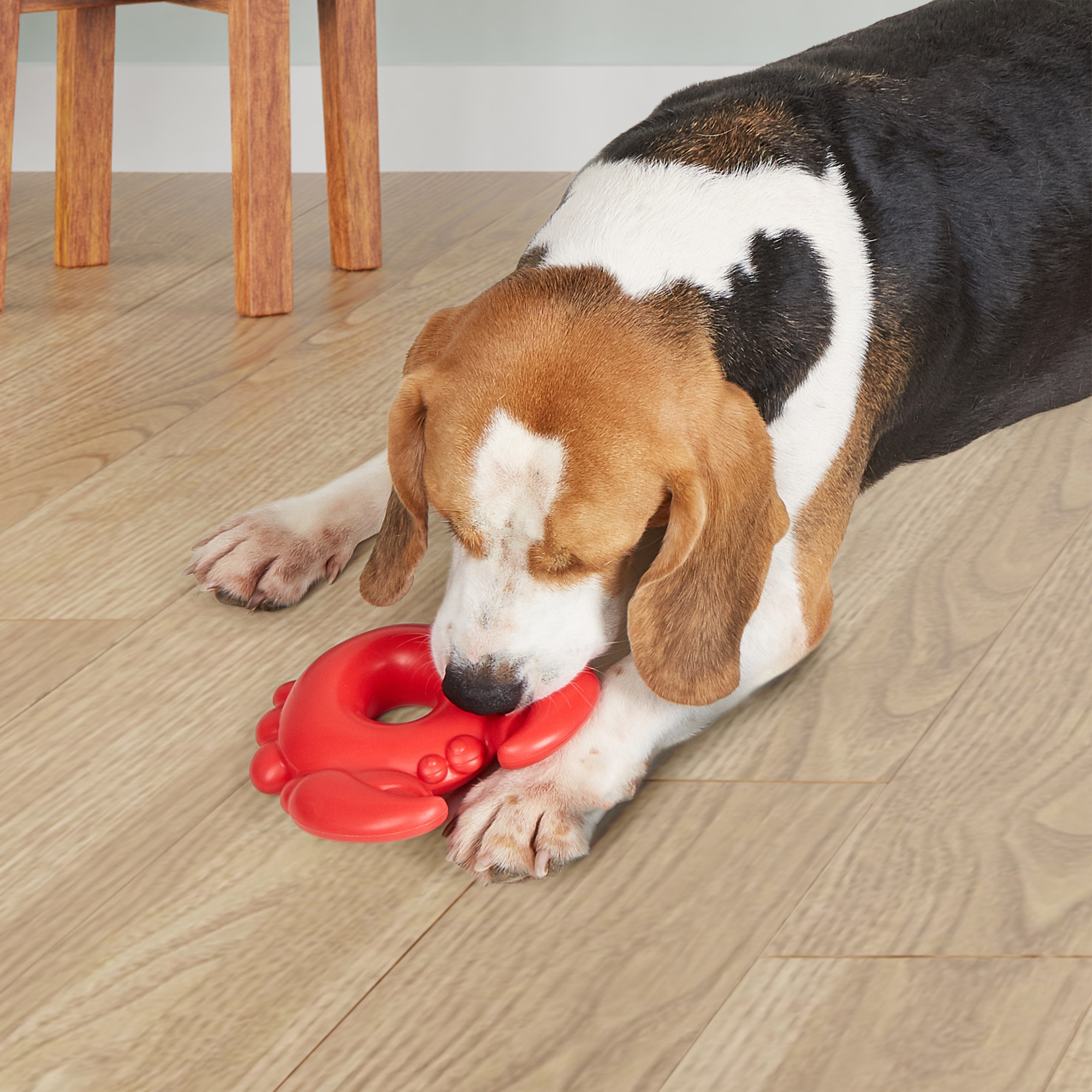 Crab CHEWING TOY 8