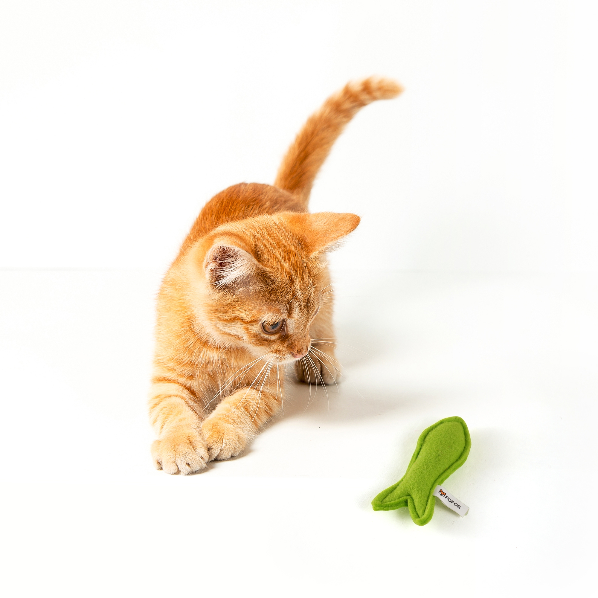 FELT FISH CAT TOY 6