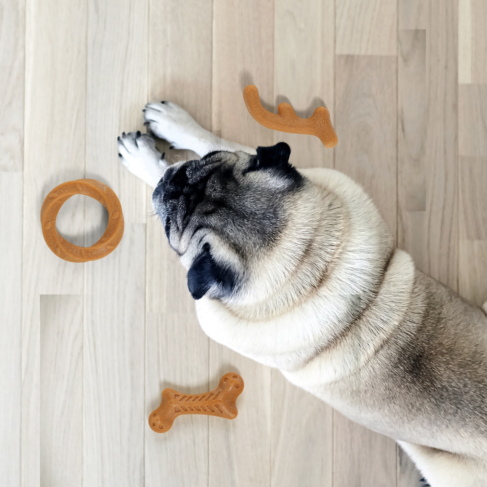 FOFOS Stix Dog Chew Toys Set S-M 8