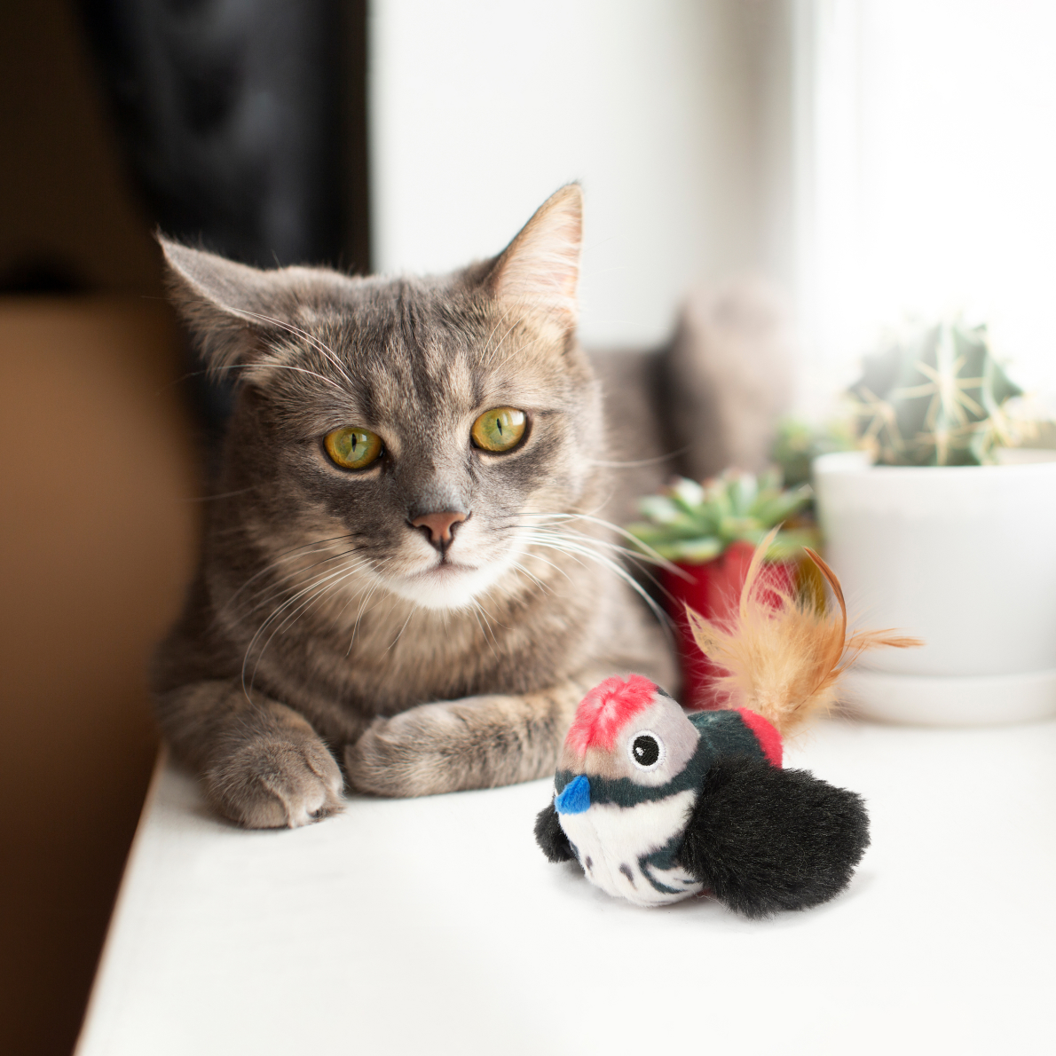 FOFOS black bird with catnip balls 9