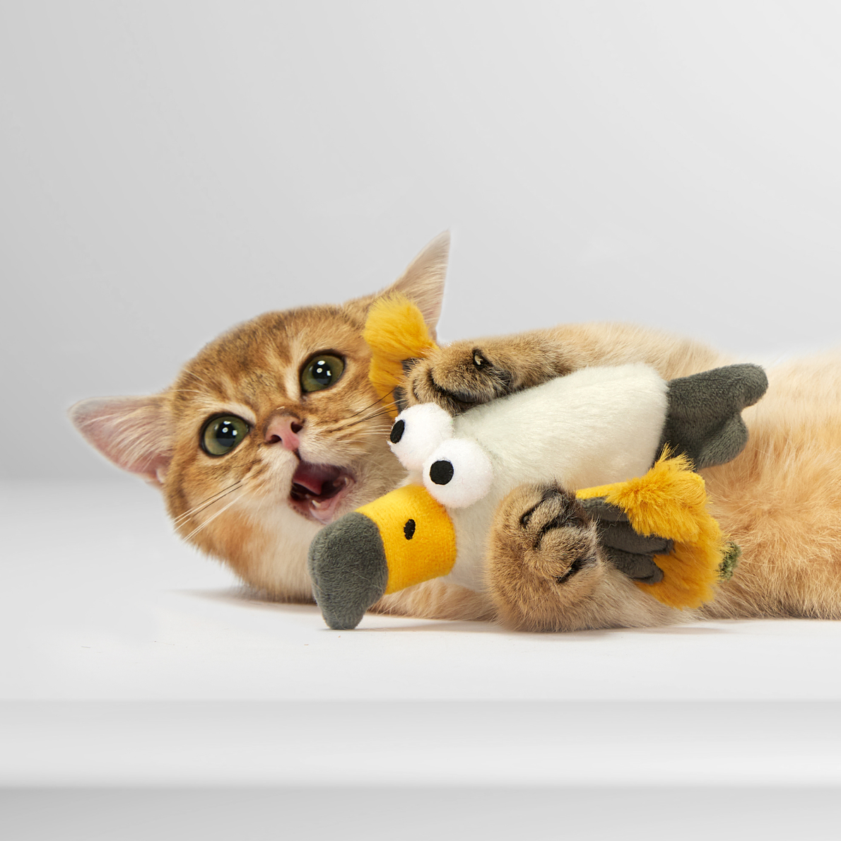 FOFOS Eagle with Catnip Toy for Cats