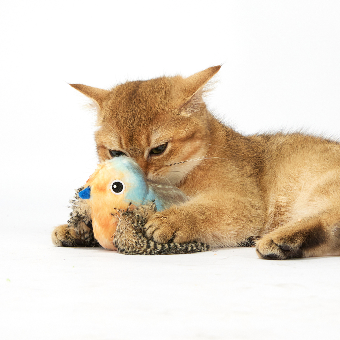 FOFOS parrot with catnip balls 9(1)