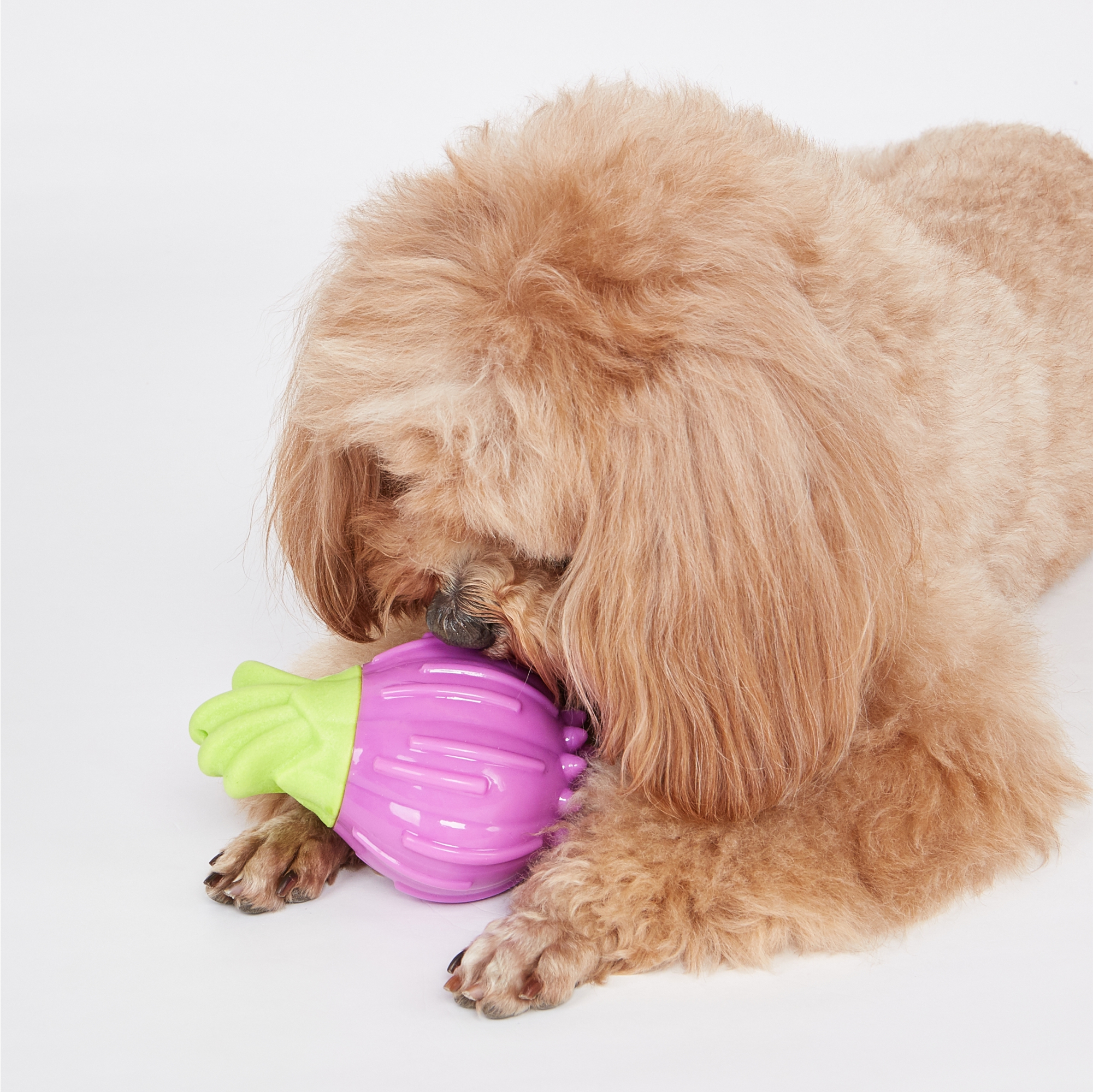 GIGGLING VEGI-BITES DOG TOY ONION 8