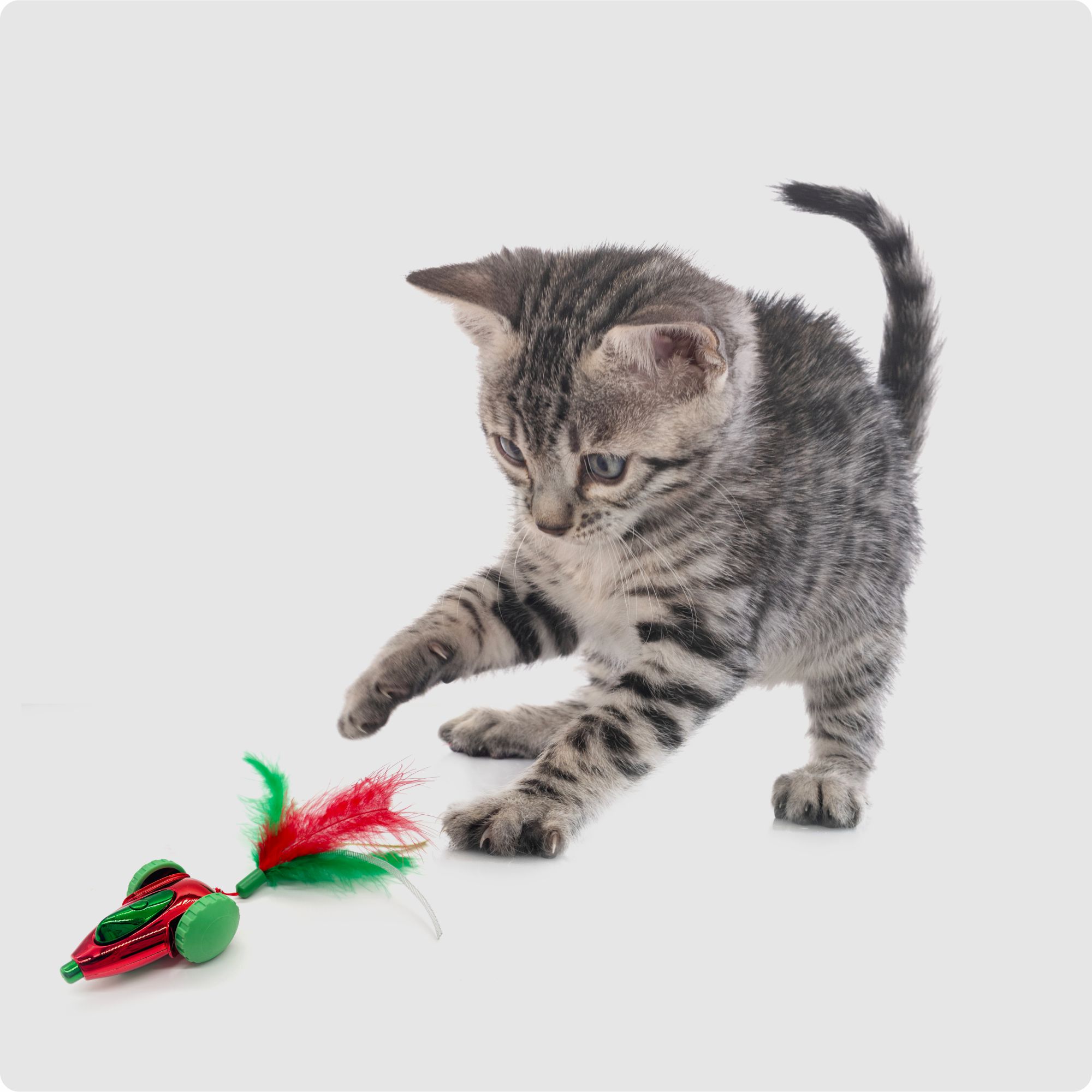 FOFOS Holiday Interactive Car Toy for Cats (Red)
