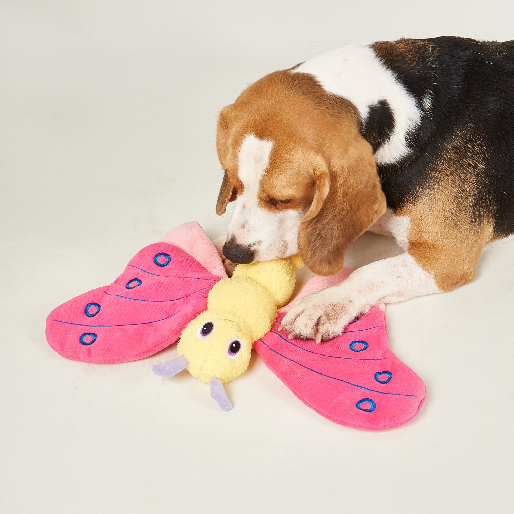 JUMBO BUTTERFLY PINK 8
