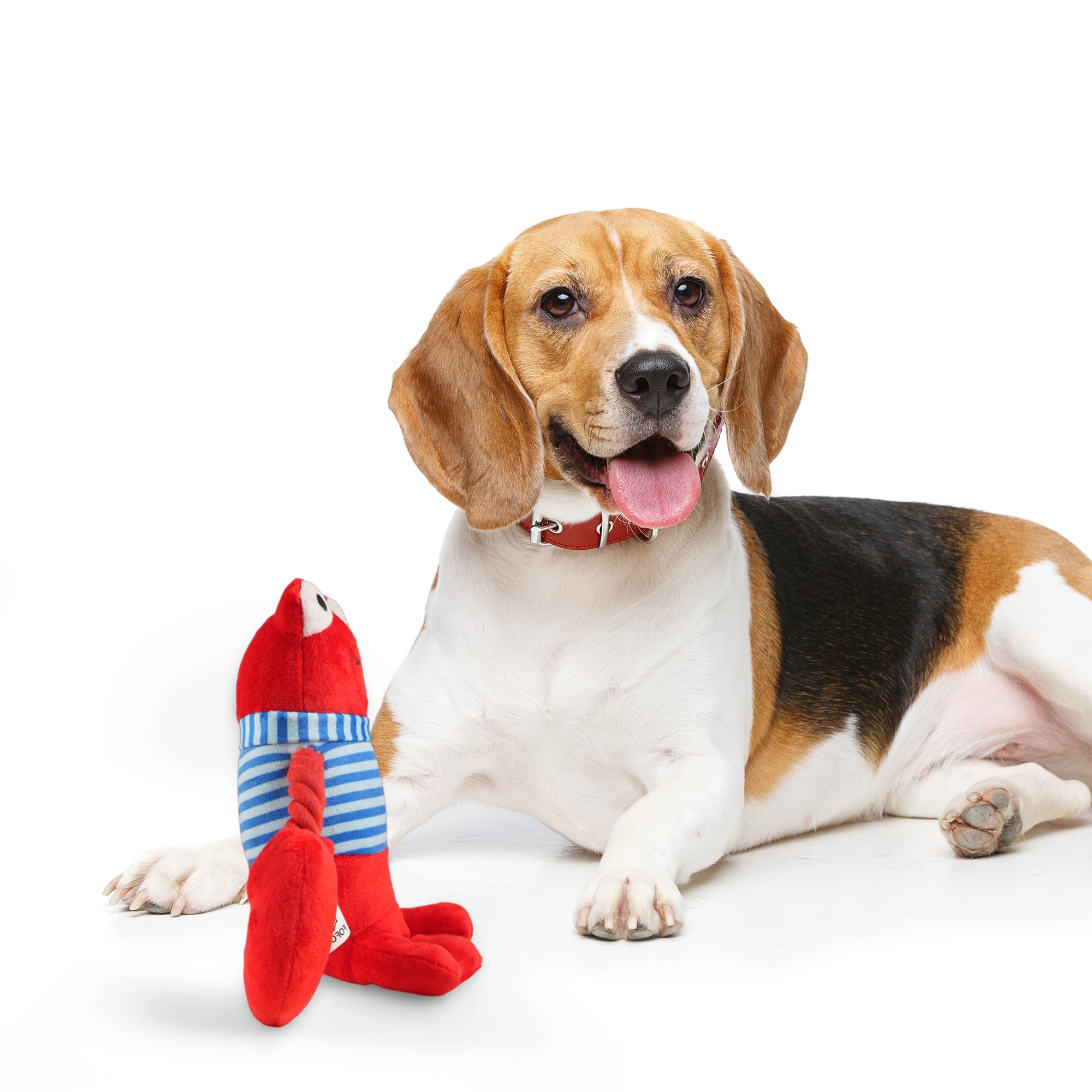 Lobster Toys 7