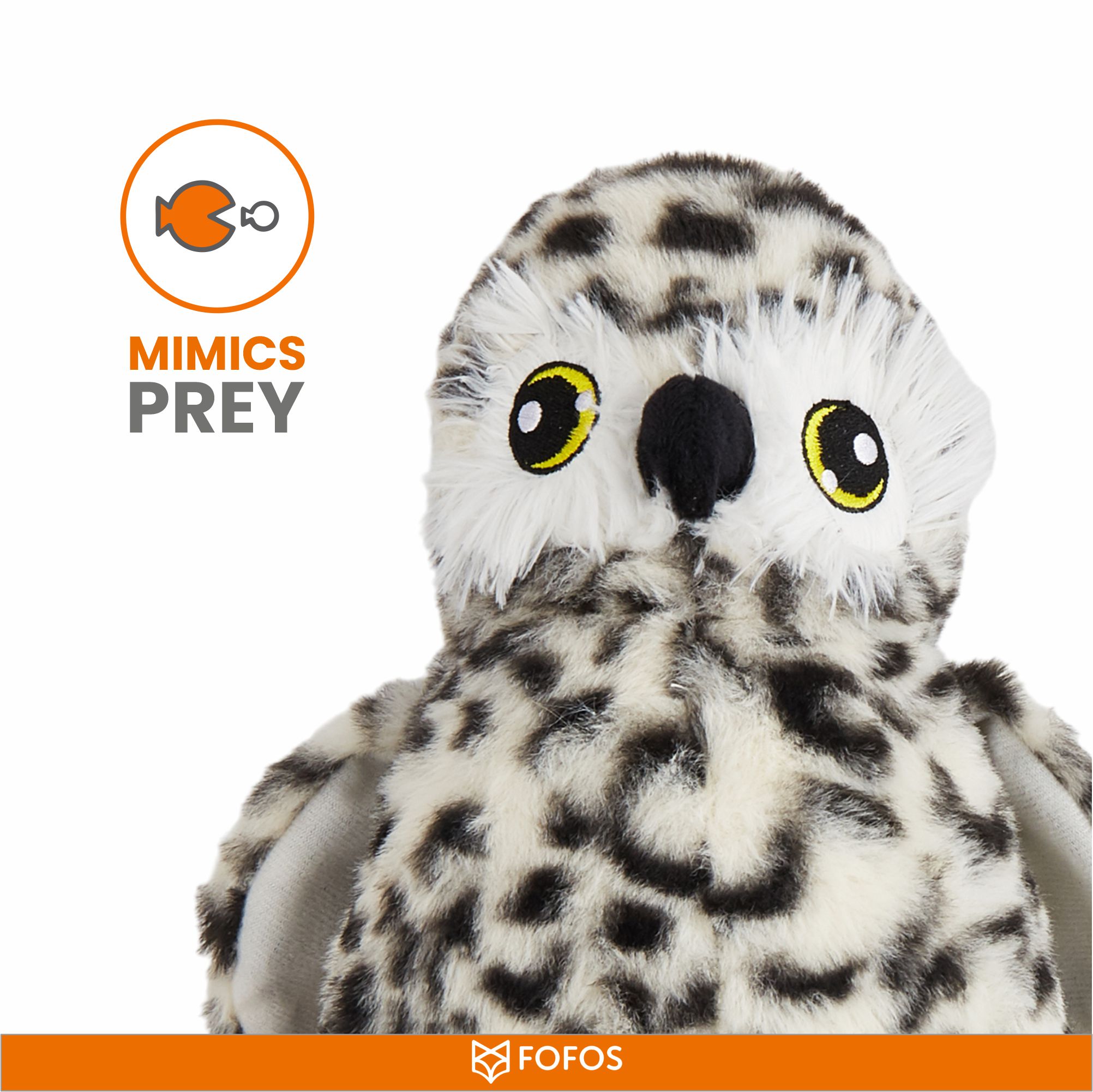 OWL 6