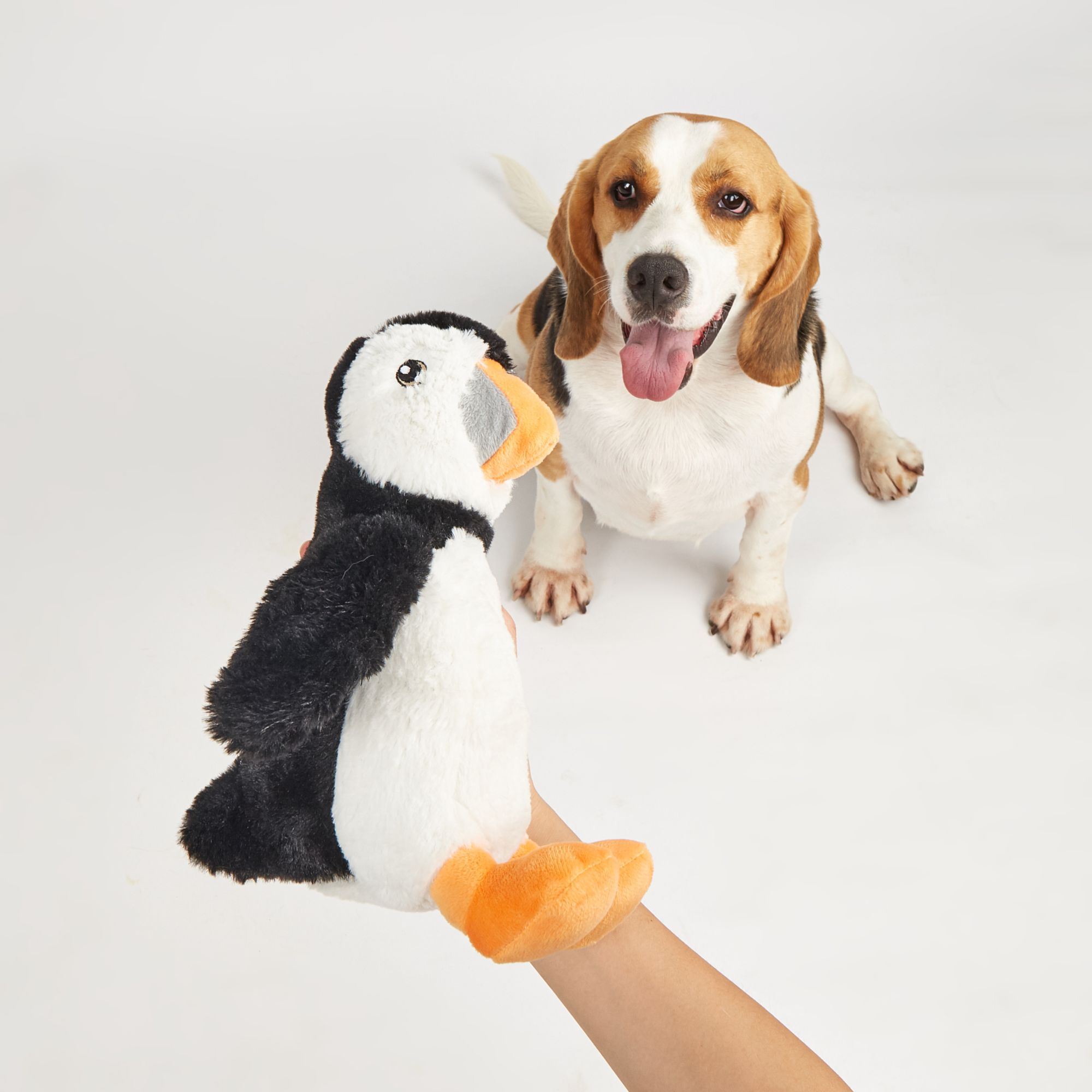 PENGUIN 7