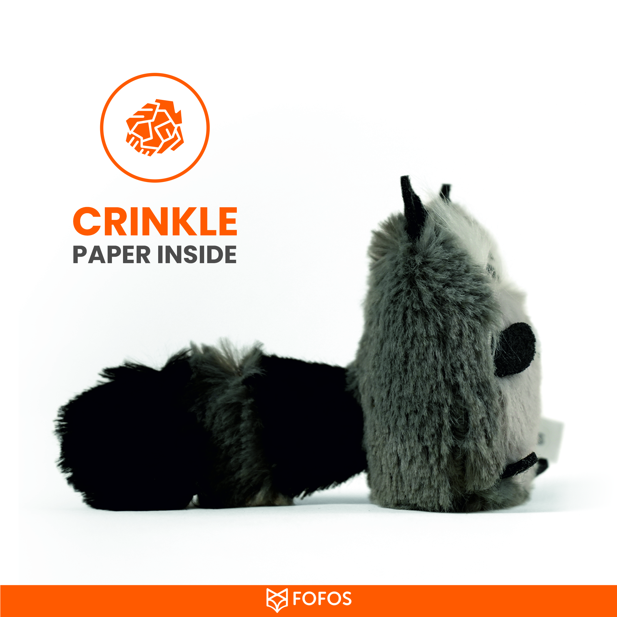 RACCOON 5