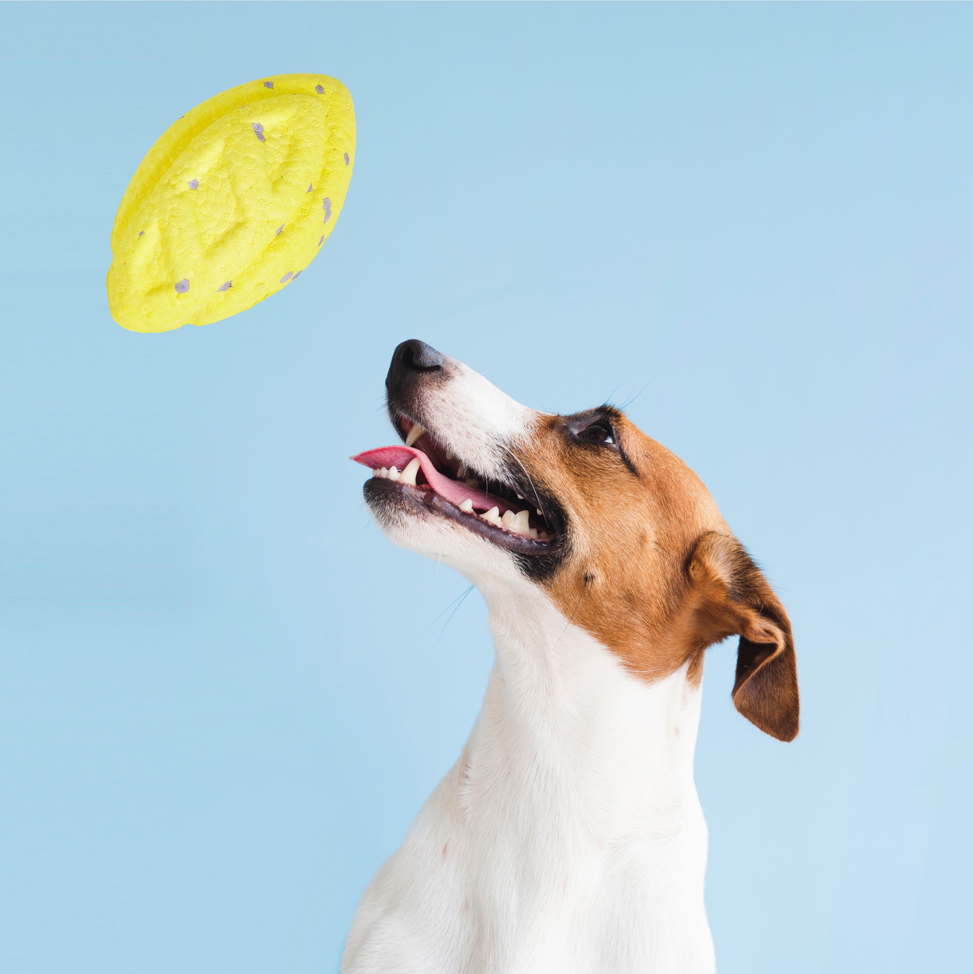RUGBY BALL FETCH TOY YELLOW 8