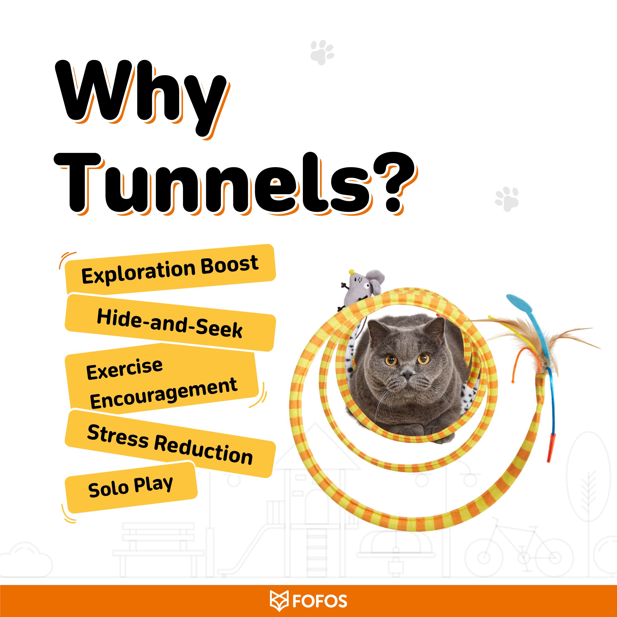 SAFARI SPIRAL CAT TUNNEL LARGE 6