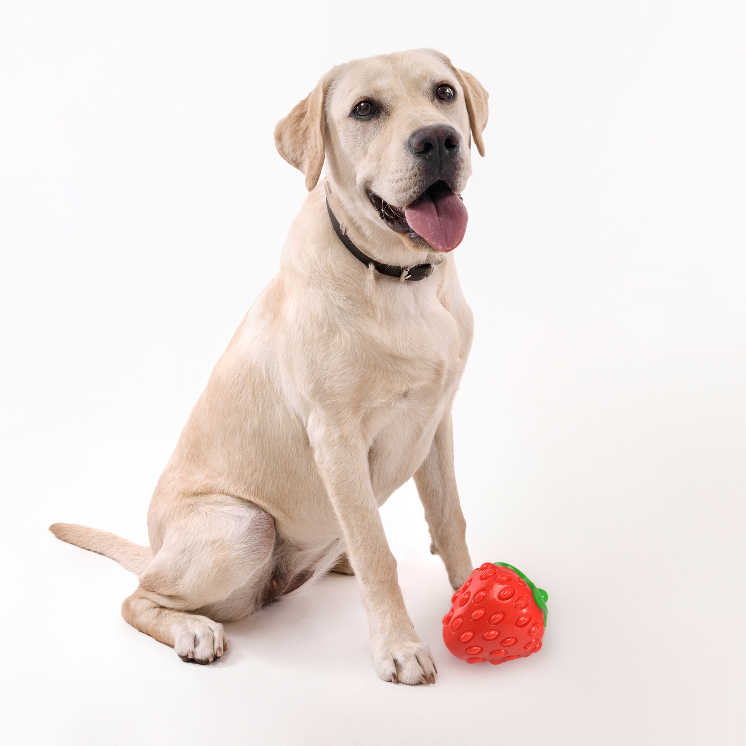 Strawberry 7