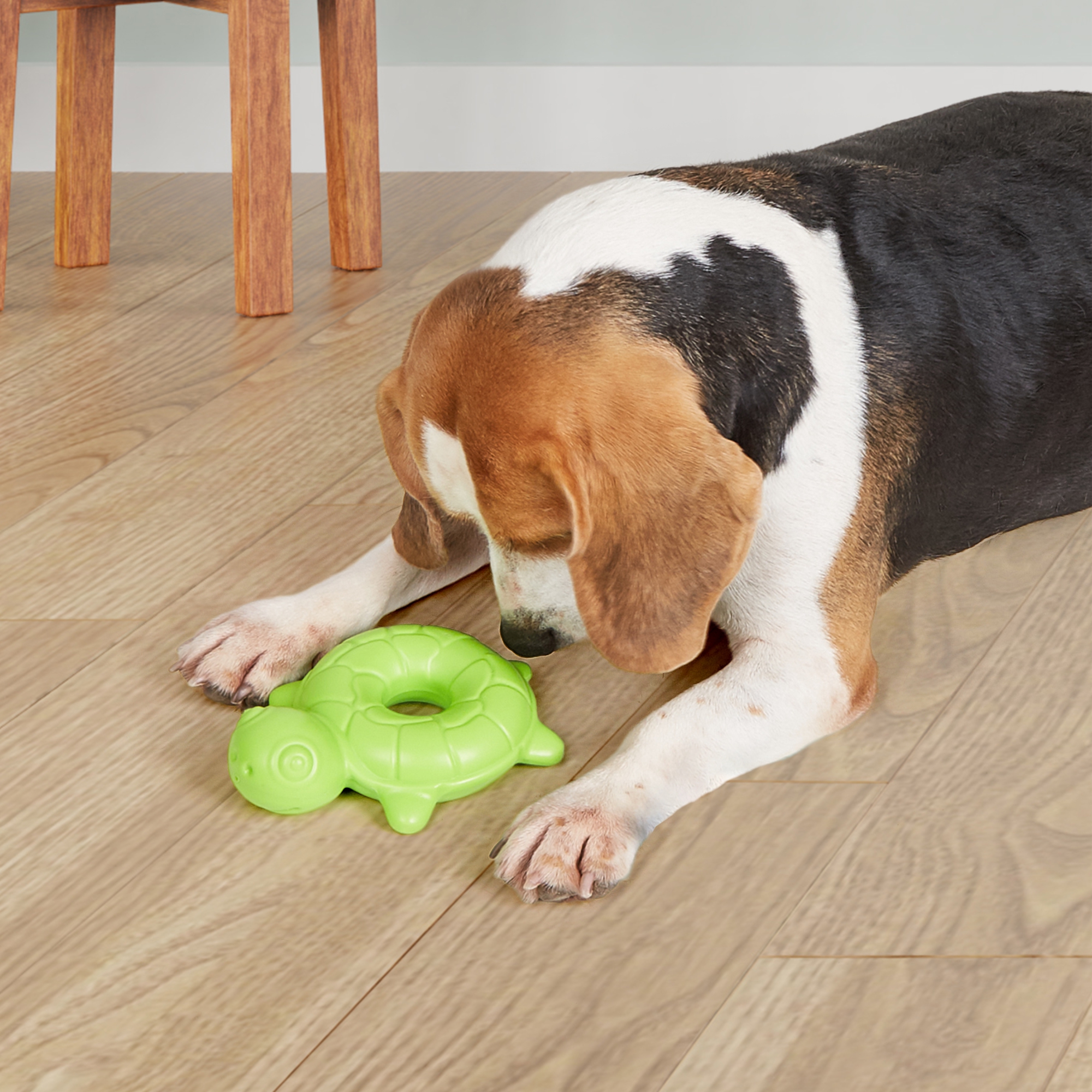 TURTLE CHEWING TOY 8
