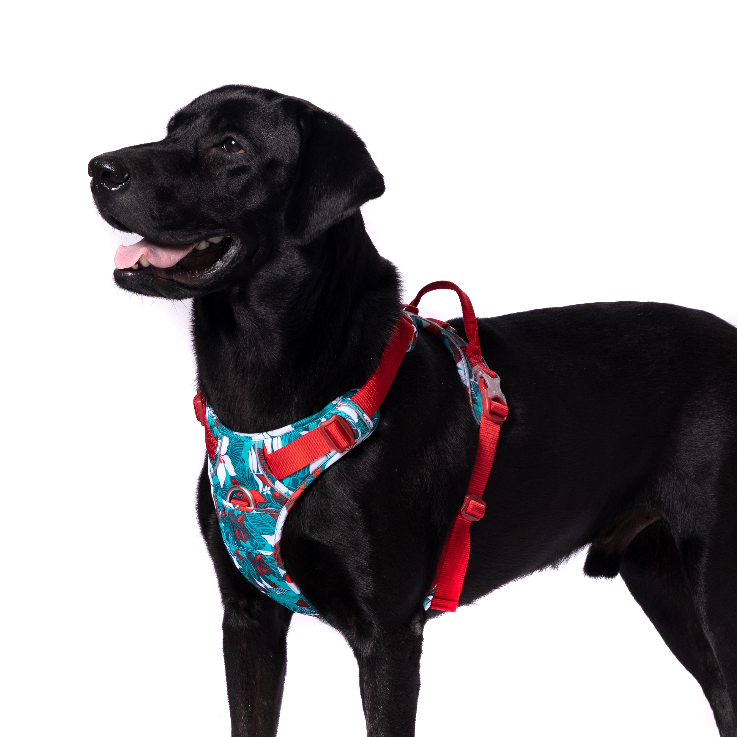 Truelove No-Pull Special Edition Harness M - Camouflage blue