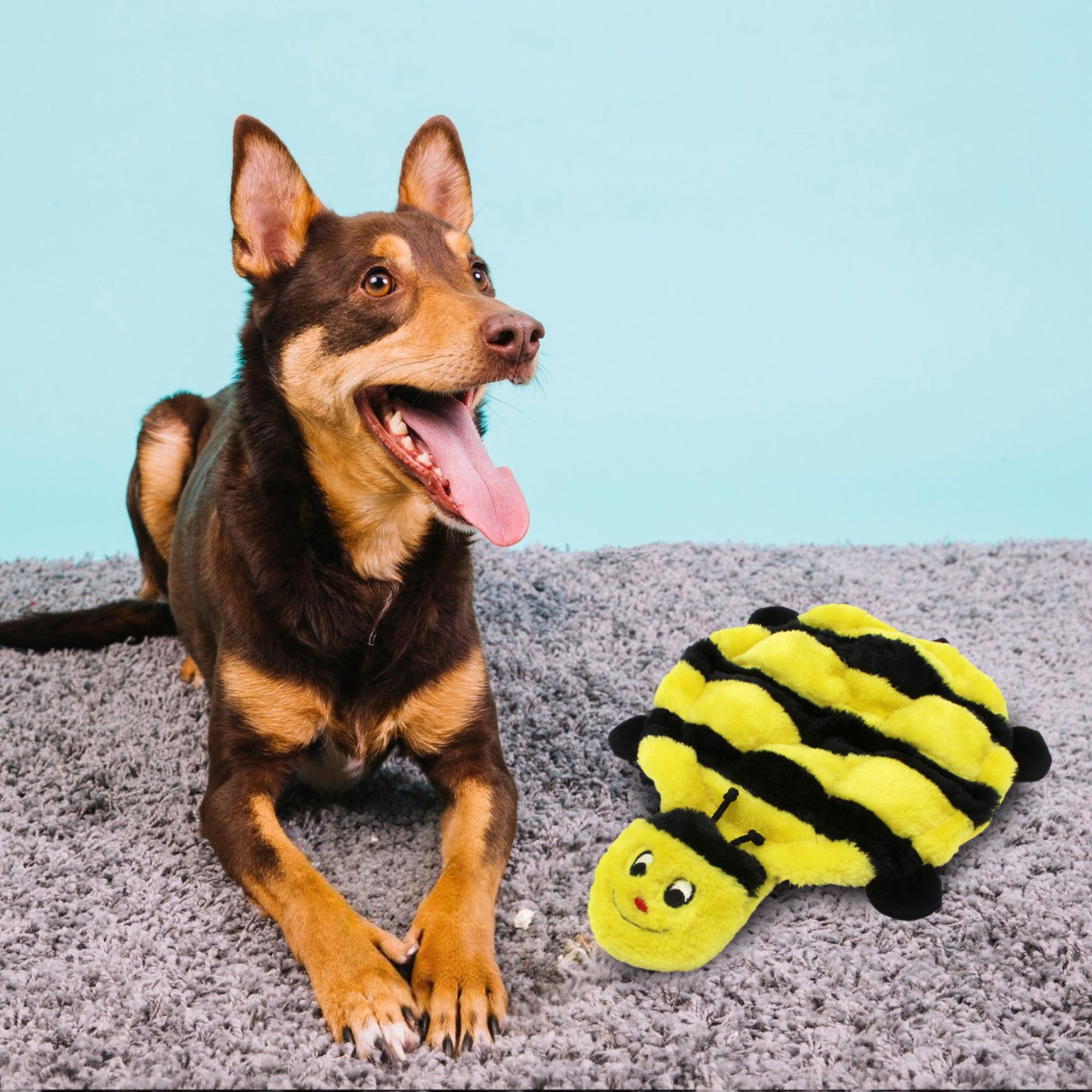 BERTIE THE BEE 7