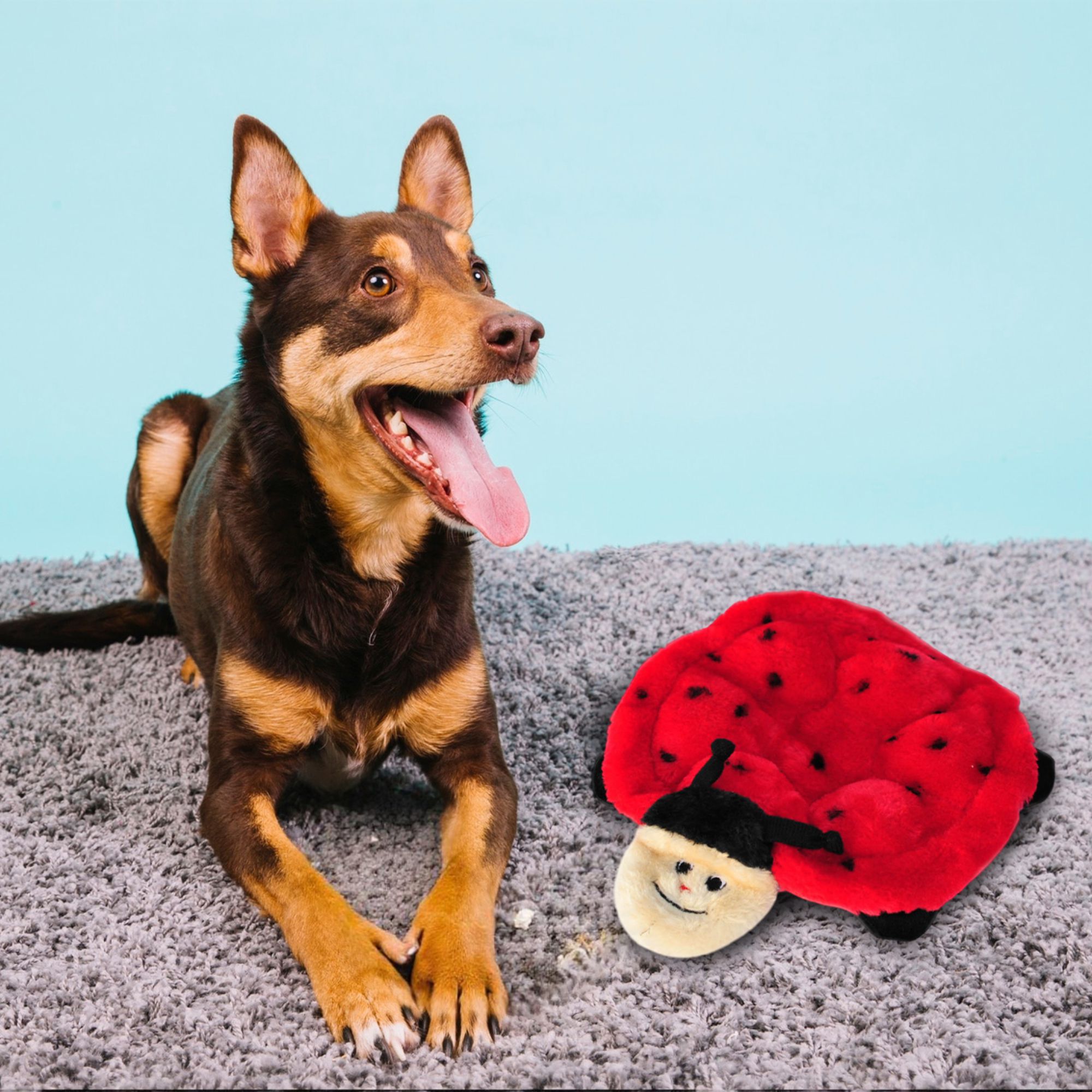 BETSEY THE LADYBUG 7