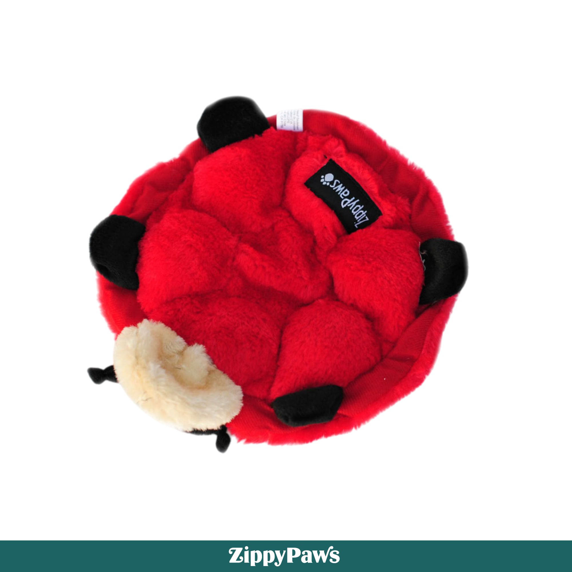 BETSEY THE LADYBUG 8