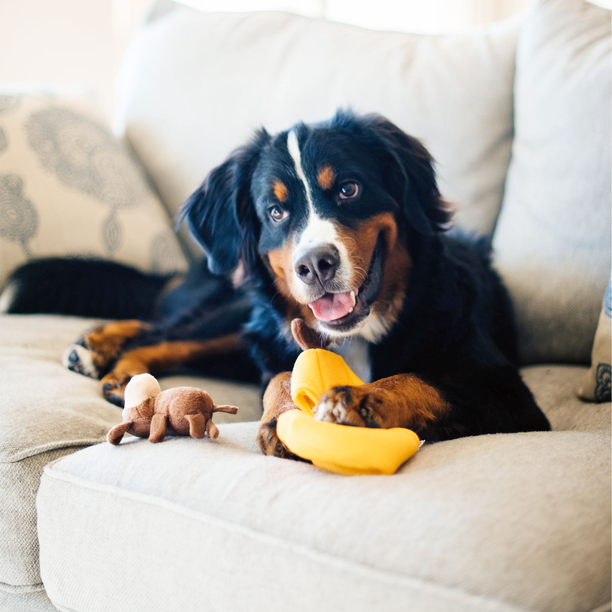 MONKEY _N BANANA 7