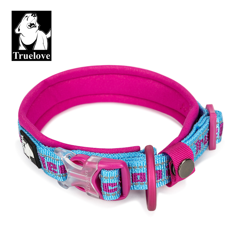 TRUELOVE Neo-Padded Collar - Sky blue/fuchsia