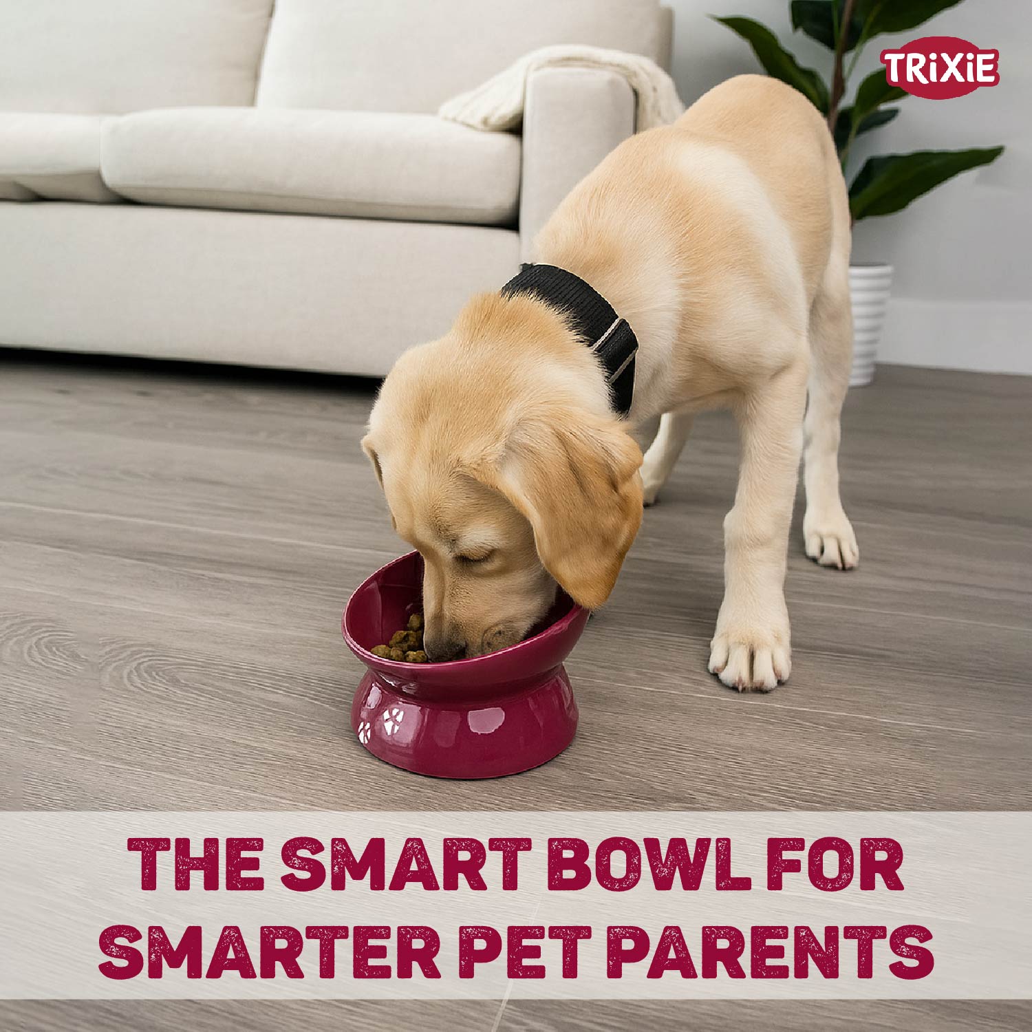 Trixie Ceramic Raised Bowl for Dogs Berry