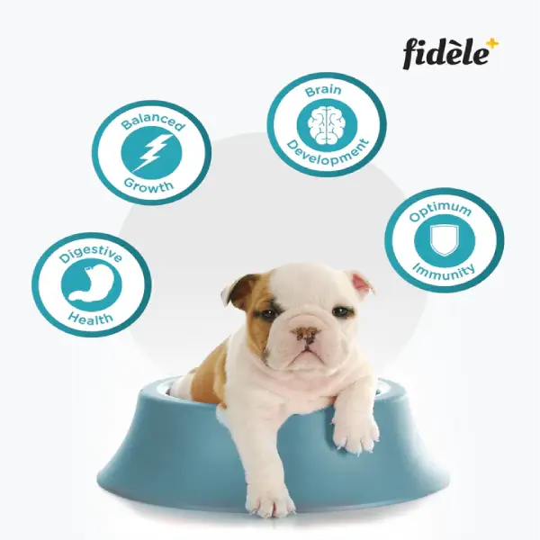 Fidele-Plus-Starter-Puppy-Dry-Food-1-1.webp