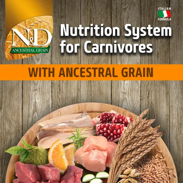 Ingredients_ProductImages@Ancestral1200X1200.webp