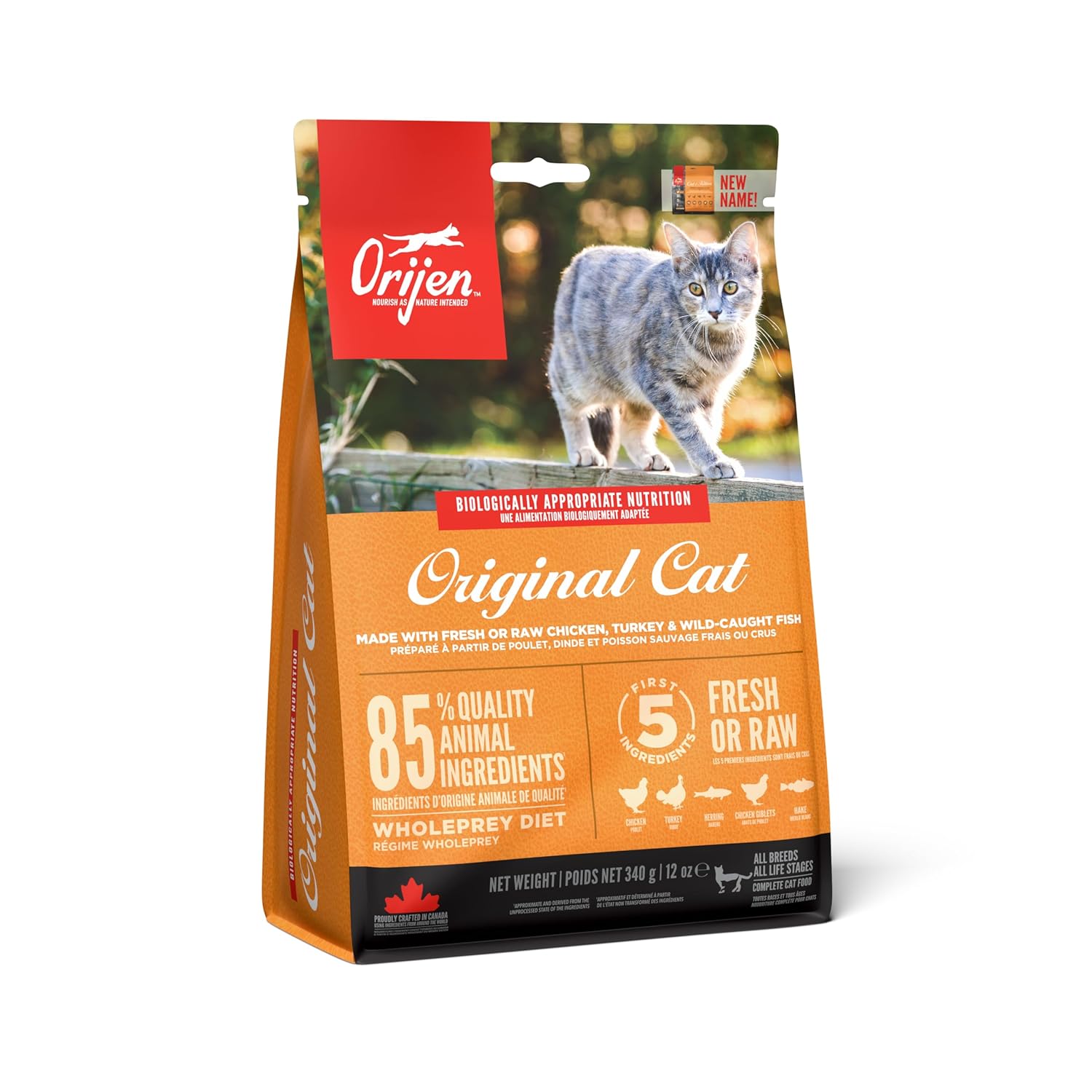 Orijen-Cat-Kitten-Dry-Cat-Food-1.jpg