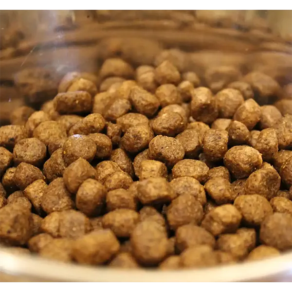acana-free-run-duck-dry-dog-food-03.webp