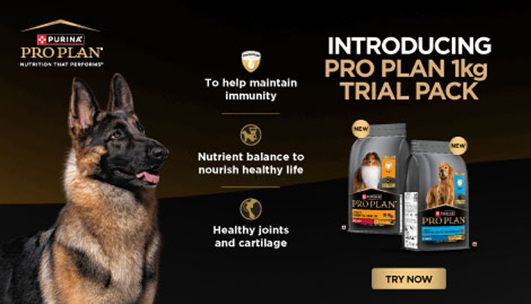purina_proplan_adult_mobile
