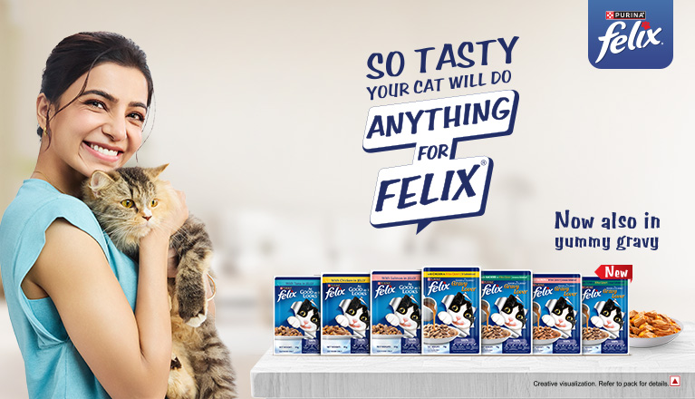 IN_2026_Purina Felix_JD 767X440_Branding