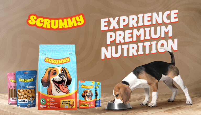 Scrummy-Banner_767 X 440.jpg