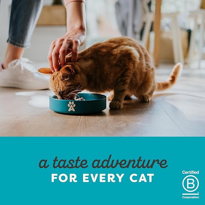 Applaws Cat Tin Chicken Breast in Broth Food For Cat
