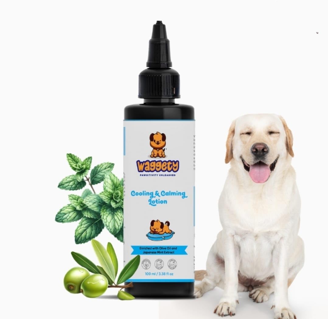 Waggety Cooling & Calming Lotion for Dogs