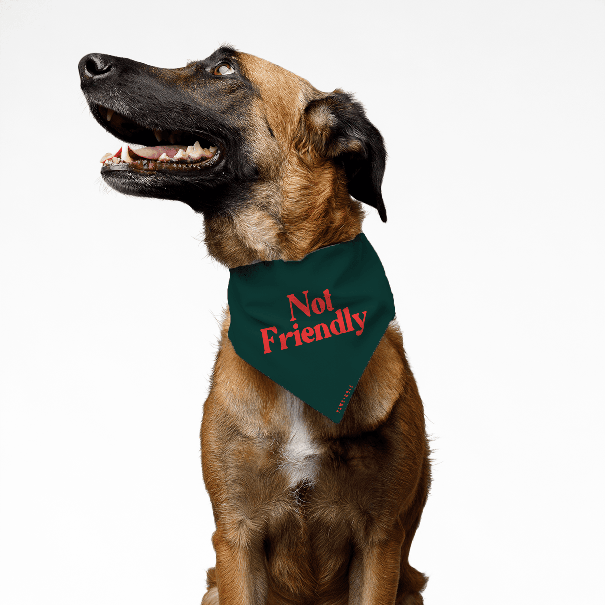 1wdc7hjr_I-31-Front.png