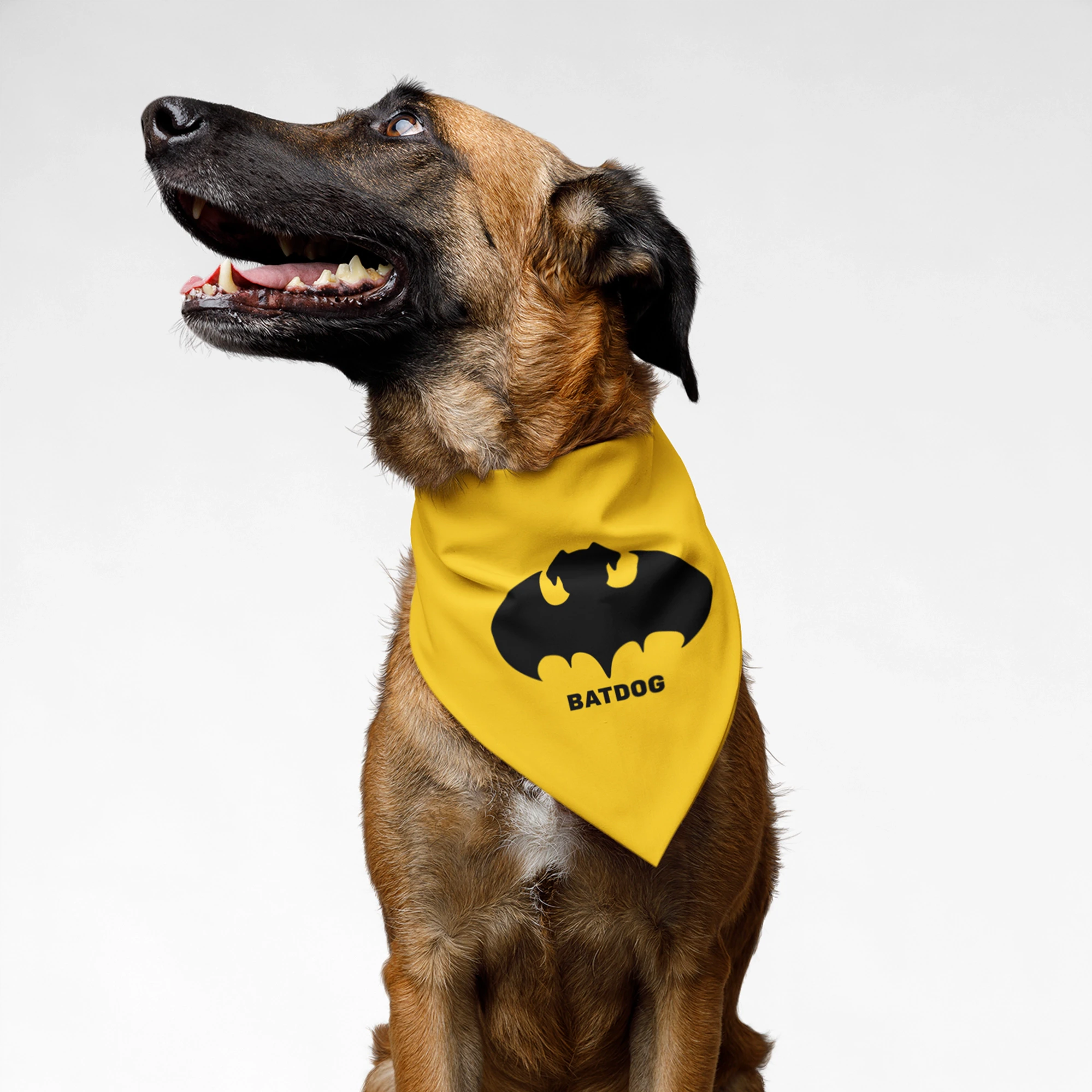 BO2Hu1wUW4-BatDogPrint1.webp